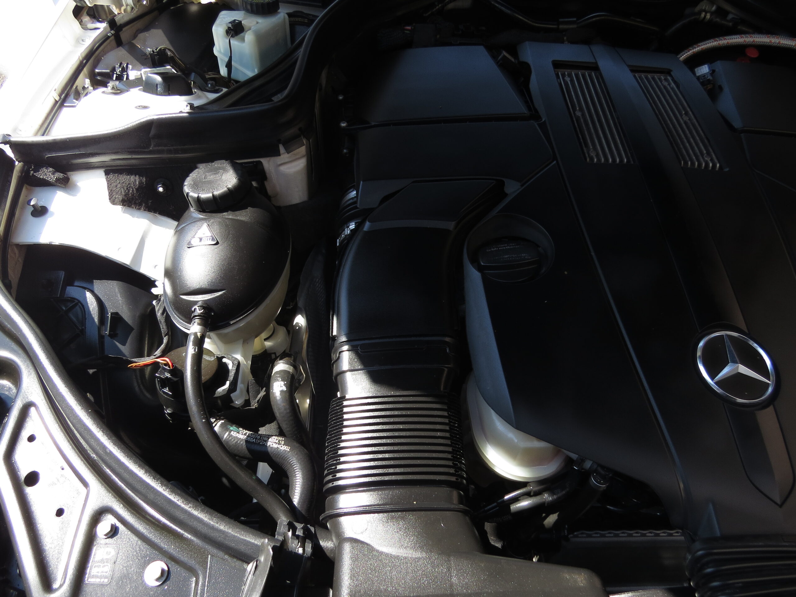 IMG_2158